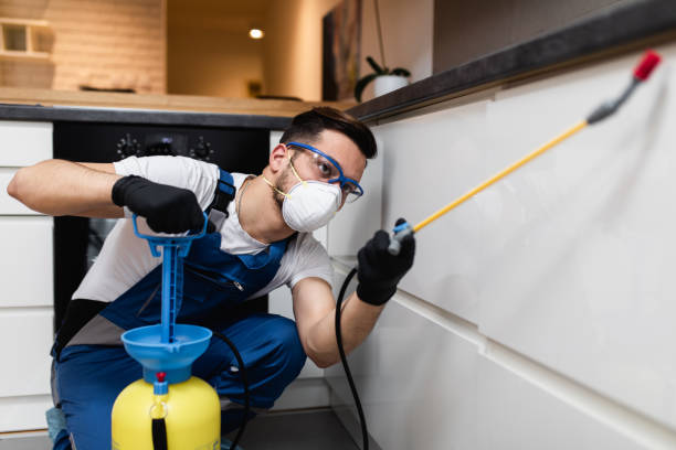 Best Best Pest Control Companies  in Kingston, OK