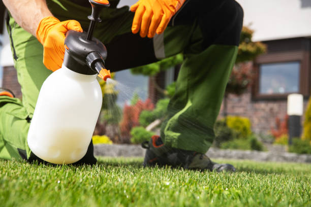 Best Exterminator Services  in Kingston, OK