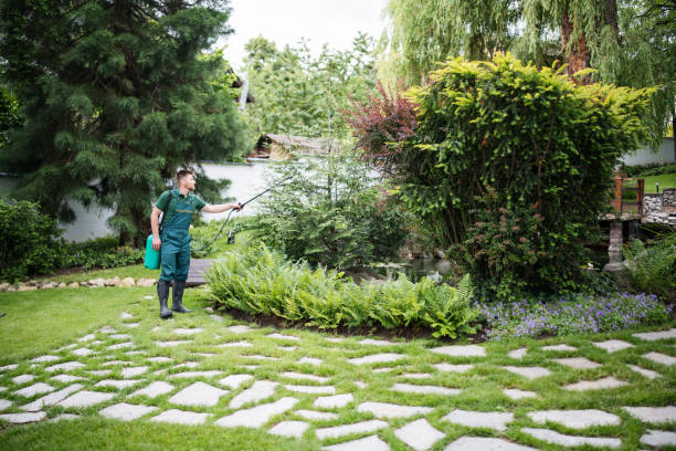 Best Affordable Pest Control Services  in Kingston, OK