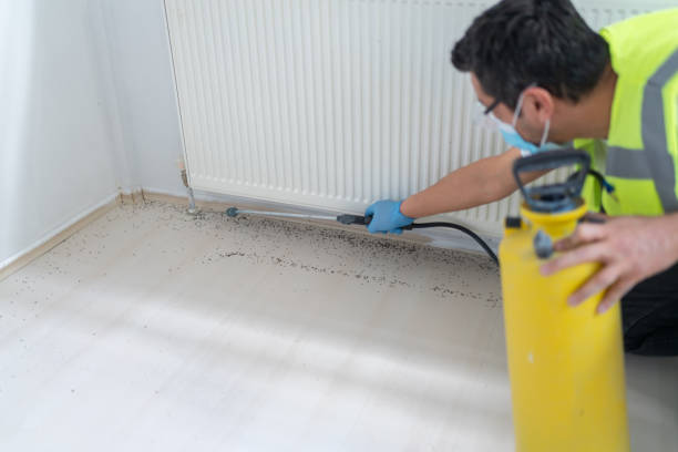 Best Flea Control Services  in Kingston, OK