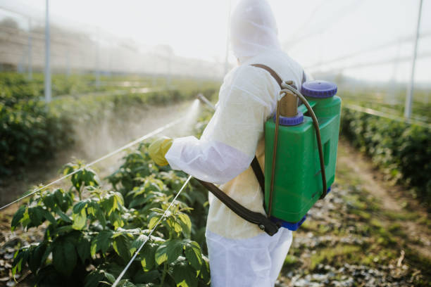  Kingston, OK Pest Control Pros